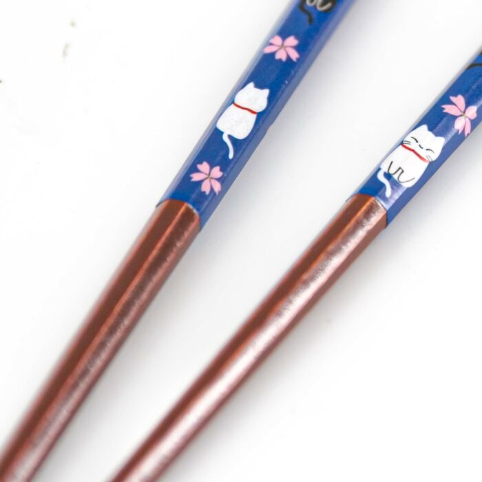 763931 nekosakura essstaebchen hashi rotbraun blau bunt 004