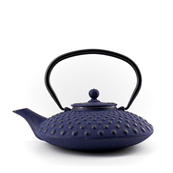 131130 chiyo gusseisenkanne tetsubin 800 ml blau 001