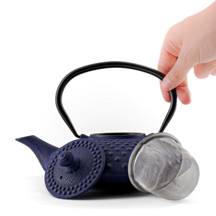 131130 chiyo gusseisenkanne tetsubin 800 ml blau 002