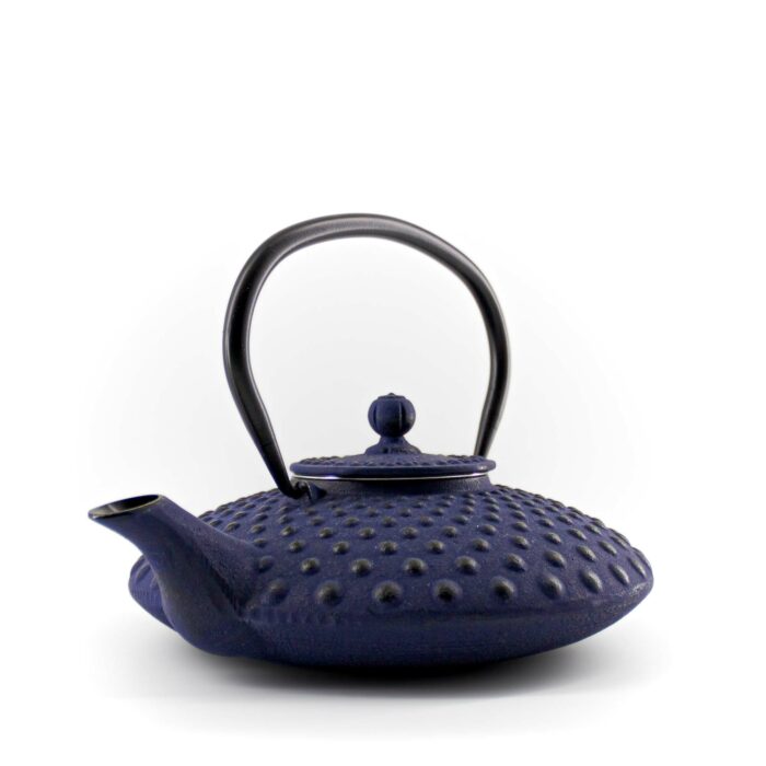 131130 chiyo gusseisenkanne tetsubin 800 ml blau 003