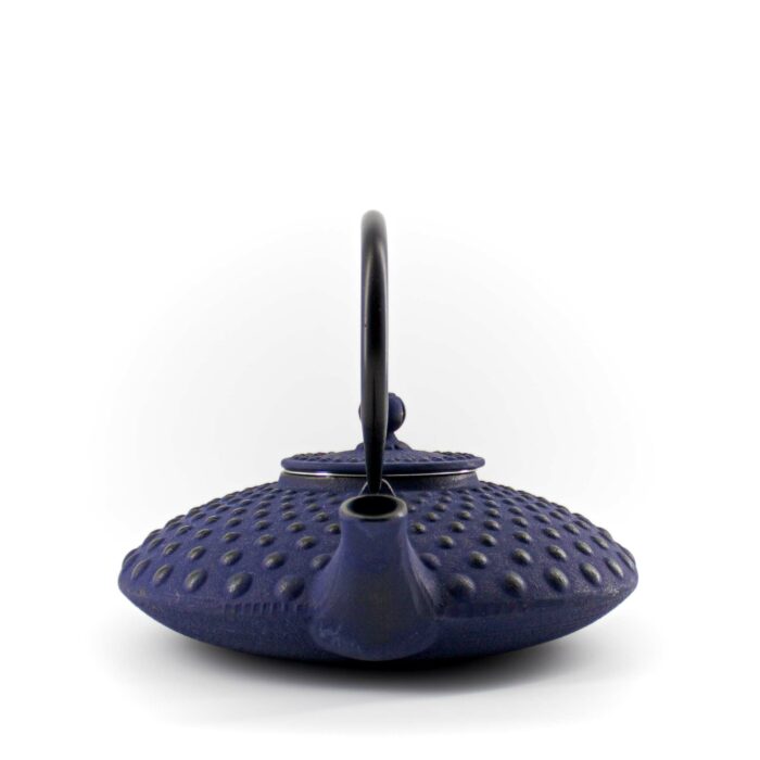 131130 chiyo gusseisenkanne tetsubin 800 ml blau 004
