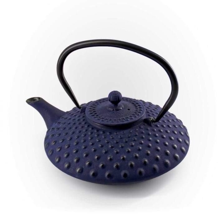 131130 chiyo gusseisenkanne tetsubin 800 ml blau 005 basis