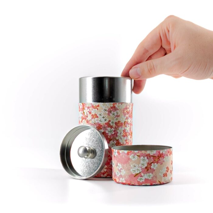 875084 mio teedose chazutsu rosa 002
